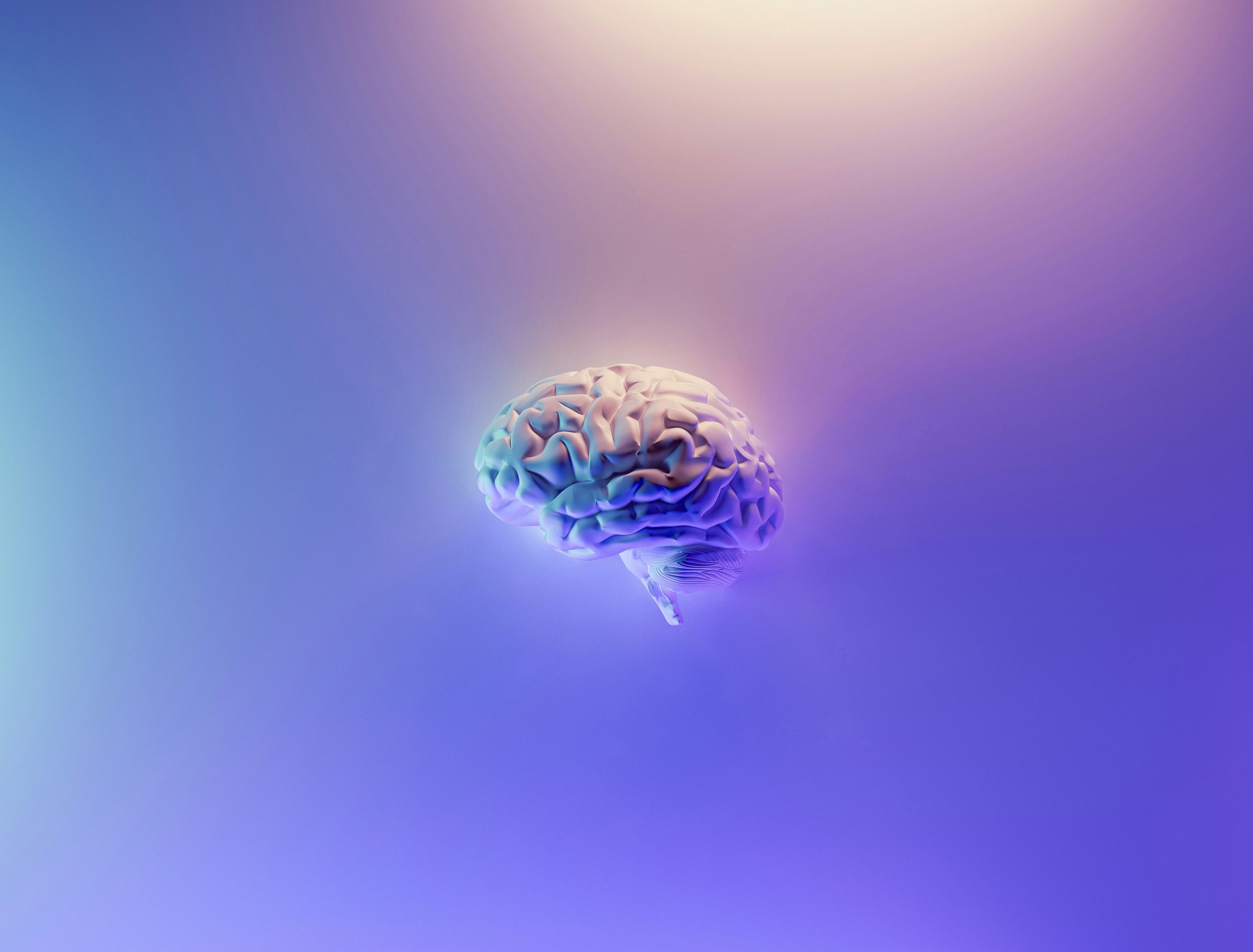Brain Fog Supplements for Men Over 40: An Honest Look at Audifort